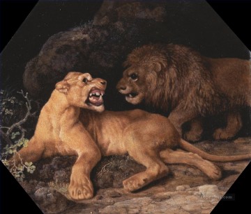 George Stubbs Löwe und Löweess Ölgemälde